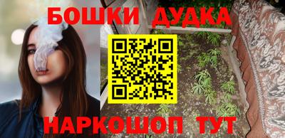 прущие крисы Кингисепп